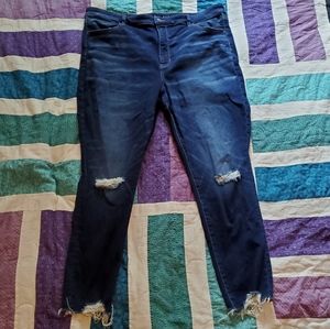 American Eagle Jeggings Jeans Size 22